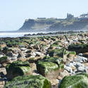 7847   View towards Whitby from the West along the Coast