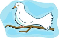 8971   white dove