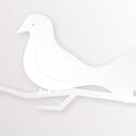 10856   white dove002