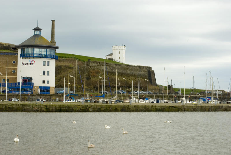 Swans swimming in Whitehaven harbour with yachts and pleasure boats moored in front of the Beacon