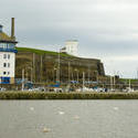 7812   Swans in Whitehaven harbour