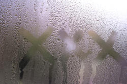 10581   XXX Concept on Misty Glass Window