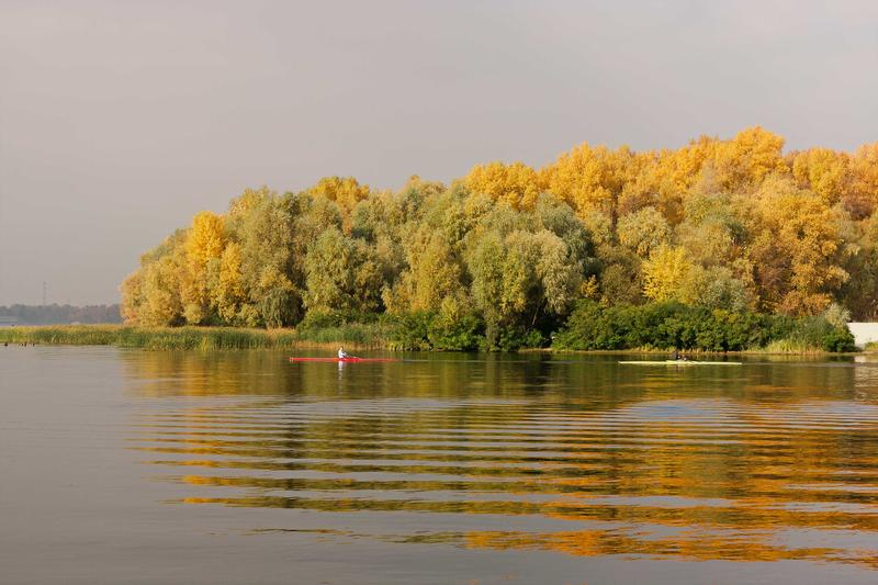 <p>Yellowed Trees Reflected in Water on Riverbank on Sunny Autumn Day</p>