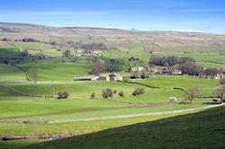 7764   Yorkshire Dales near Wensleydale