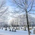12073   a cold winter