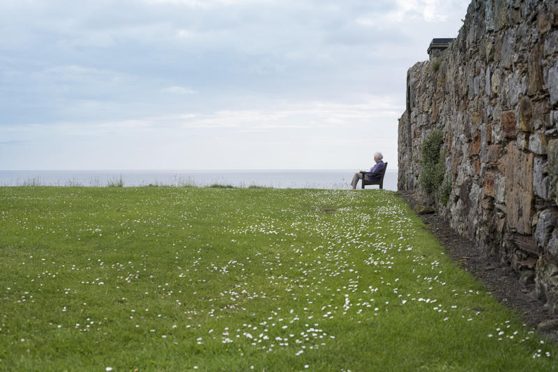 Person sitting on bench over green flowery grass with sky and ocean in background