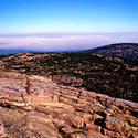 16111   Acadia National Park Cadillac Mountain View