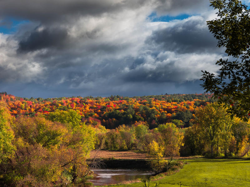 <p>Vermont foliage colors with maple trees clouds and meadow.</p>
