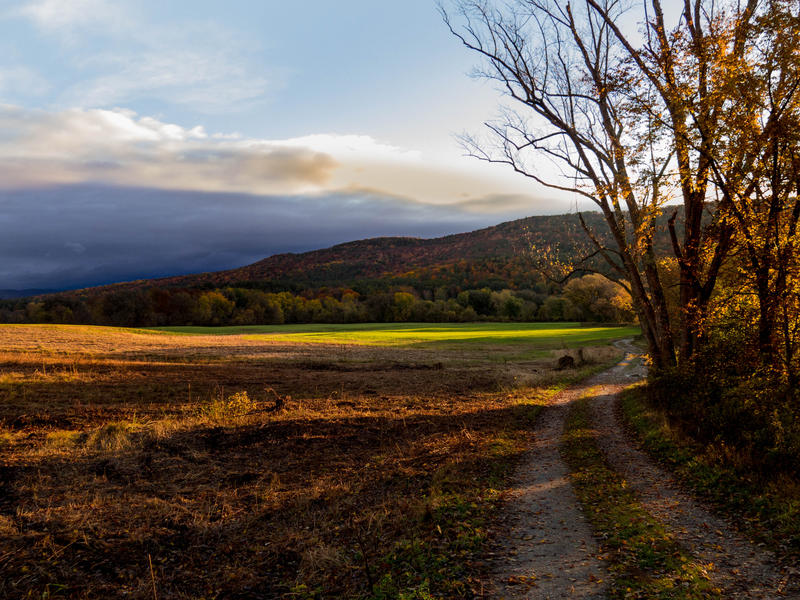 <p>Rural, Vermont Autumn road late afternoon after the rains.</p>