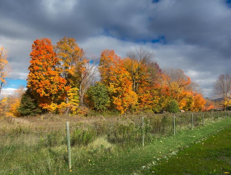<p>Bright Autumn day in Western Vermont.</p>