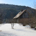 11993   barn in focus