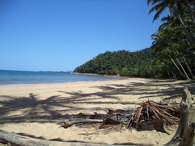 <p>Bingil Bay</p>
Beach at Bingil Bay, Qld, Australia