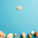 13094   Blue seashell border with copy space
