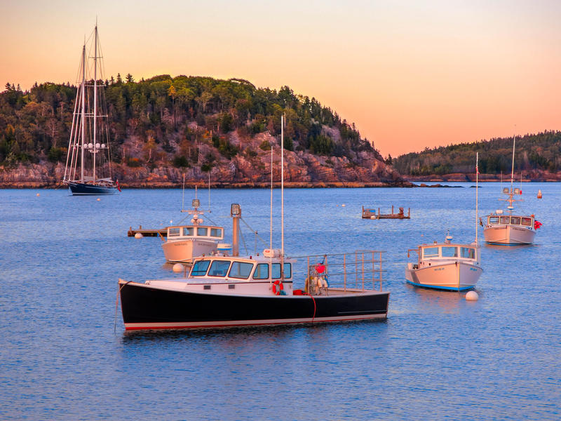 <p>Boats in the harbor late afternoon, Bar Harbor Maine.</p>