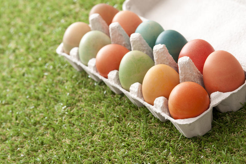 Dozen of colorful dyed Easter eggs in open carton box over green loan cut grass with copy space