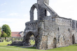 12889   Section of the ruins of St Andrews Cathedral