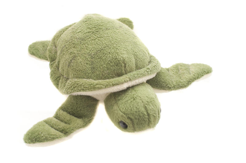Single cute green plush stuffed animal turtle on isolated white background