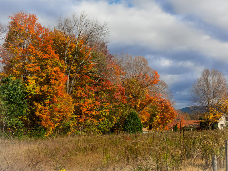 <p>Typical Autumn day in Vermont.</p>
