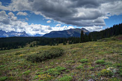 12622   Colorado San Juan Mountain Meadow and Clouds