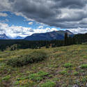 12622   Colorado San Juan Mountain Meadow and Clouds