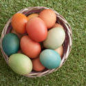 13470   Basket filled with easter eggs