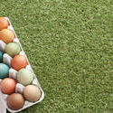 13471   Easter eggs on grass