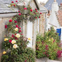 12907   Quaint stone cottage with climbing roses