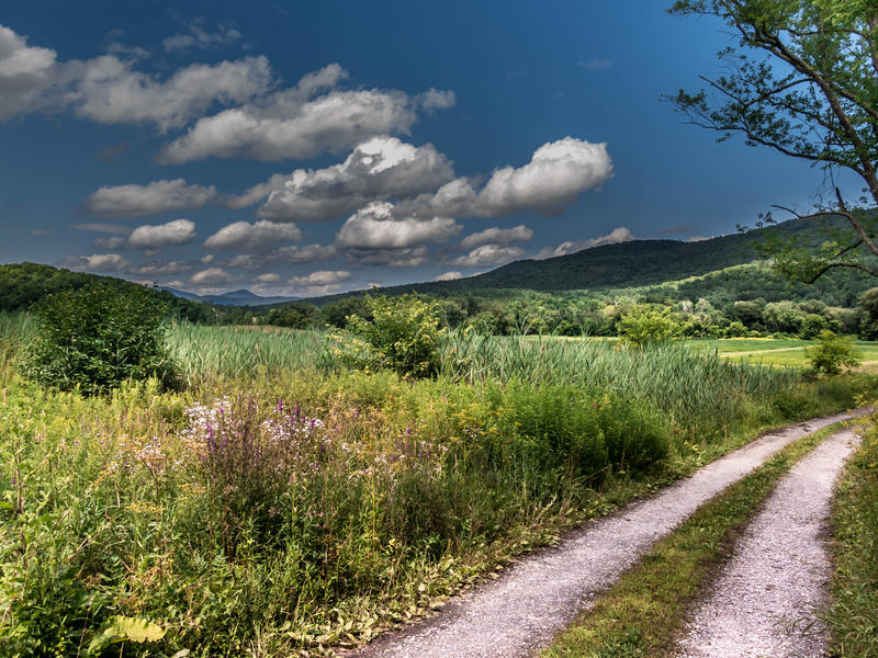 <p>Summer in rural Vermont on a country road with big clouds and lush vegetation.&nbsp;</p>
