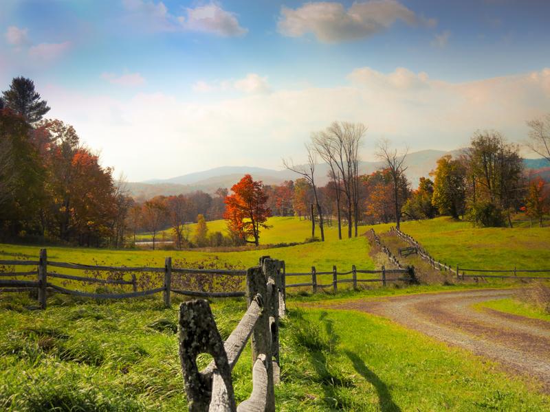 <p>Post and rail fence on horse farm in rural Vermont on a hazy day in Autumn with orange Maple tree.</p>