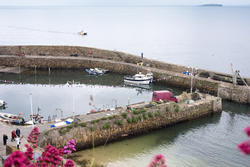 12805   Tranquil harbour, Crail, Fife Coast, Scotland