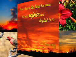 16933   Day the Lord Made