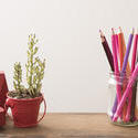 12733   Desk still life with ornaments and potted plant