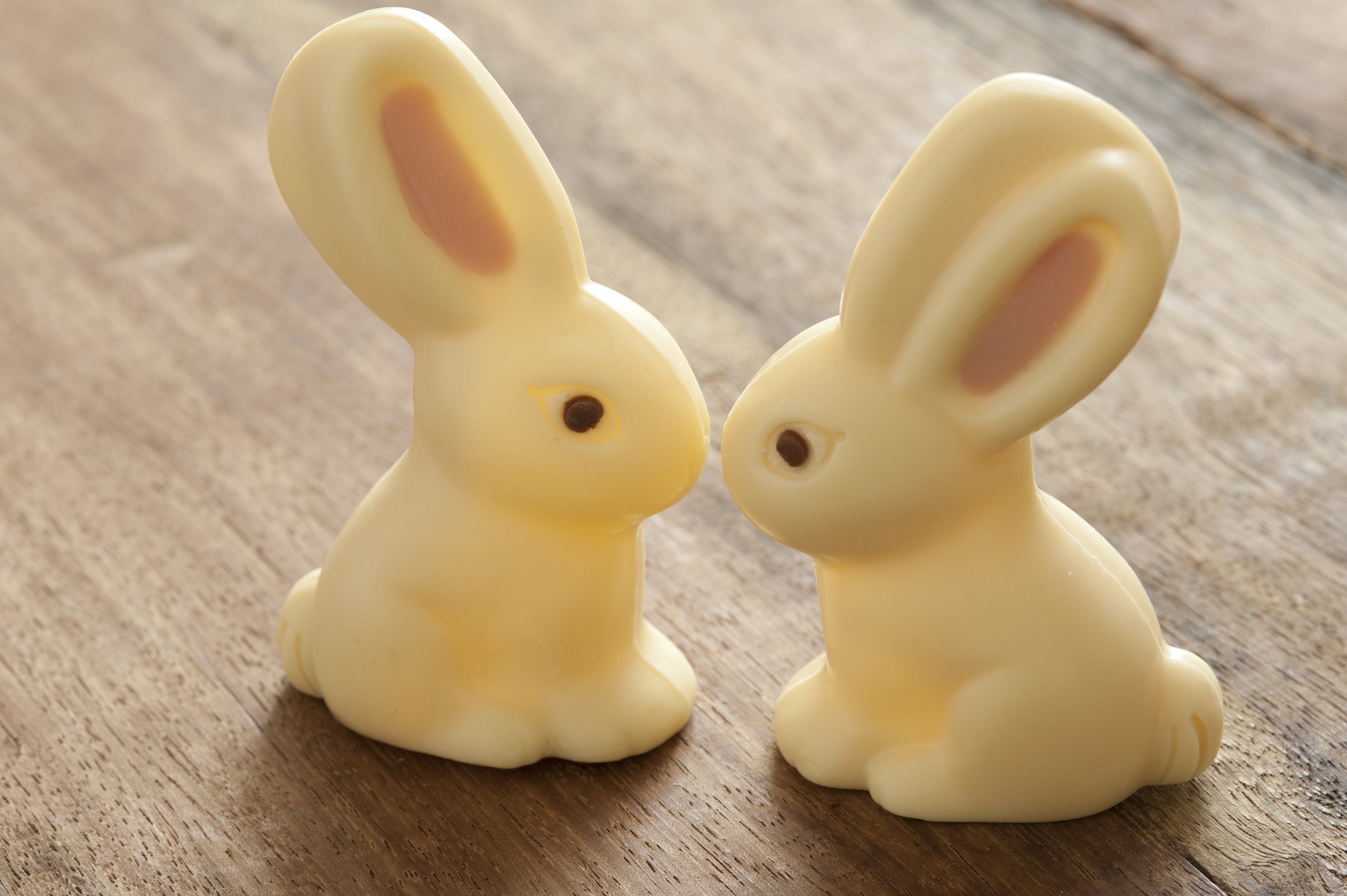 Two Easter Bunnys Kissing 5