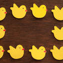 13451   colorful yellow Easter chicks