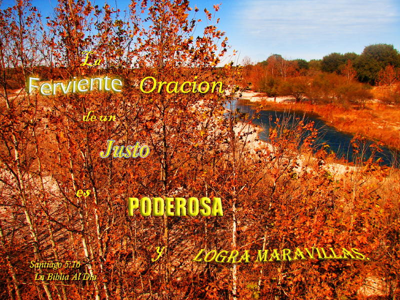 <p>Sycamore Creek in the fall</p>
Sycamore Creek in the fall