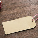 13151   Blank Christmas gift tag and decorations