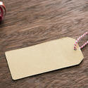 13151   Blank Christmas gift tag and decorations