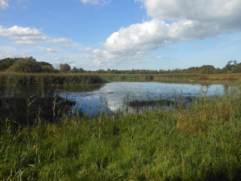 <p>The Norfolk Broads UK field views</p>