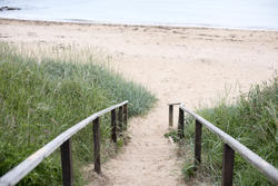 12844   Pathway down to the beach, Fife Coast, Scotland