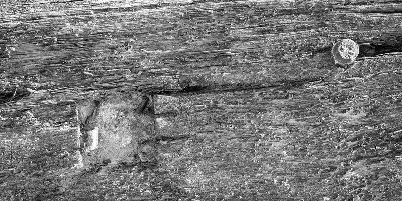 <p>Old wood photographed in black and white.</p>
<p>More photos like this on my website at - https://www.dreamstime.com/dawnyh_info</p>
Old wood background
