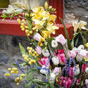 13239   flowers outside a cottage window