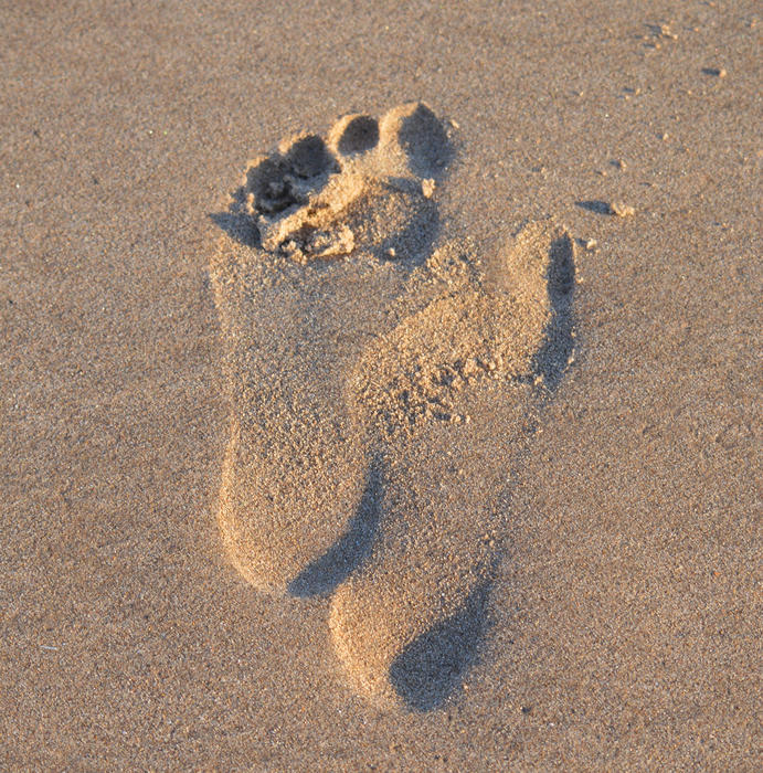 <p>Find more photos like this on my website.</p>
<p>Footprint in the sand on a beach in the UK.</p>
<p> </p>
Footprint in the sand