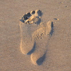 17021   Footprint in the sand