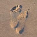 17021   Footprint in the sand