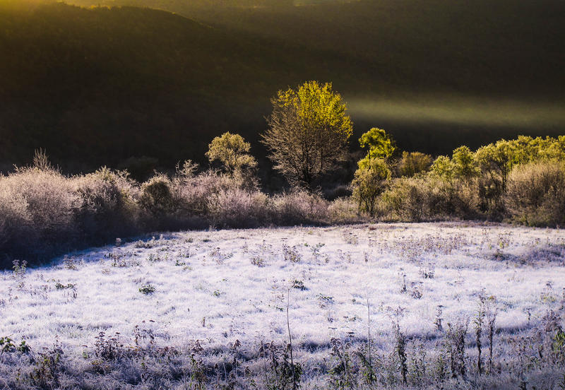 <p>Sunlight filters down from the mountain and across the Berkshire Valley looking East, lighting up new growth on the trees with frosty grass in the foreground, in Wallingford, VT. </p>
