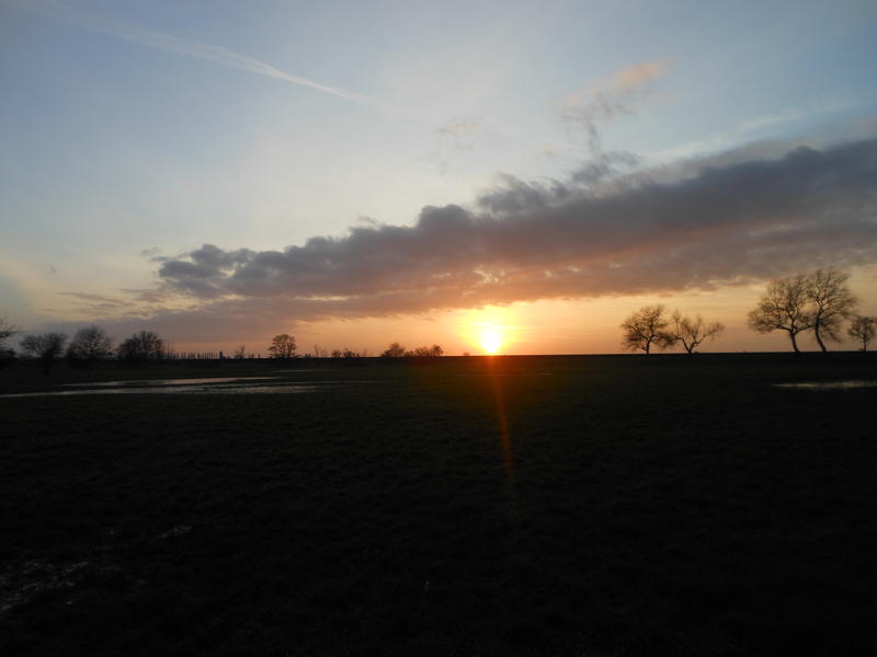 <p>The Broads in Norfolk UK frozen sunset in December</p>