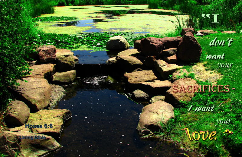 <p>Pond in Webster Community Park, central New York State, USA</p>
Pond in Webster Community Park, central New York State, USA