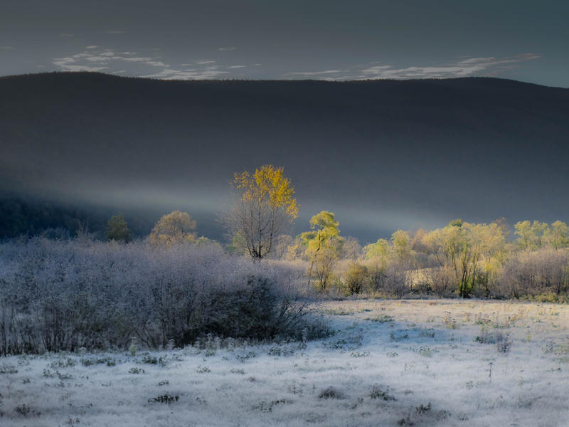 <p>Sunlight approaching the foggy valley along Rt. 7 headed South to Bennington, Vermont at the crack of dawn with frosty grass new Spring buds on the trees.&nbsp;</p>
