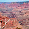 16100   Grand Canyon Gorges