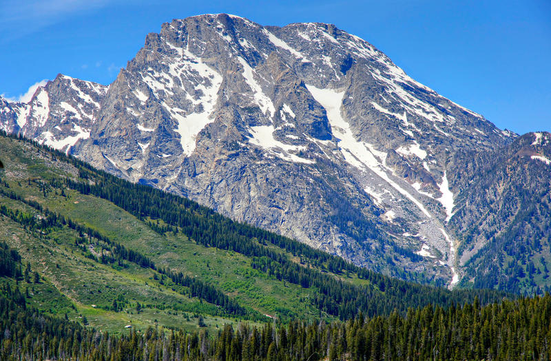 <p>A green forested slope serves as foreground to a glacier covered mountain peak at Grand Teton National Park.</p>